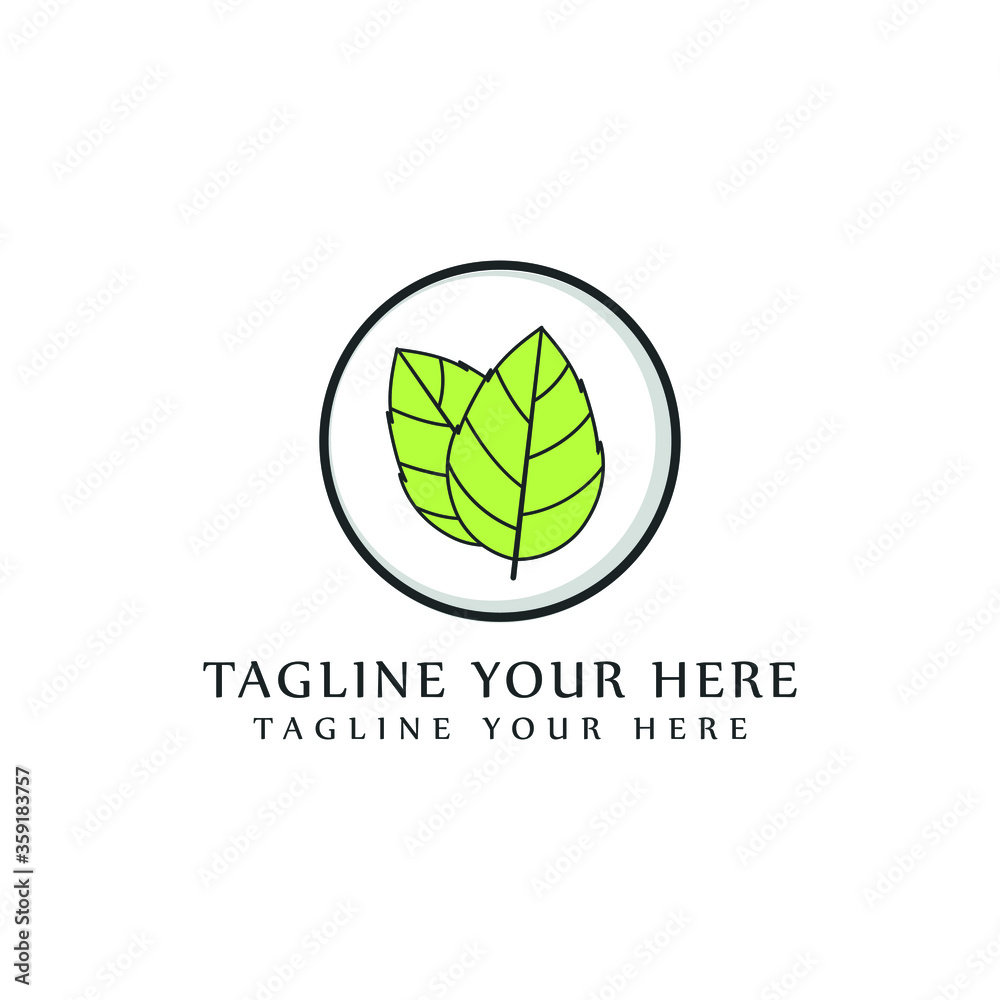 Mint leaves isolated on white background. Mint leaves isolated on white background.