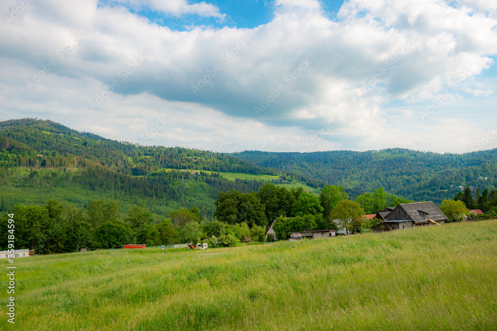 mountain landscape in the summer