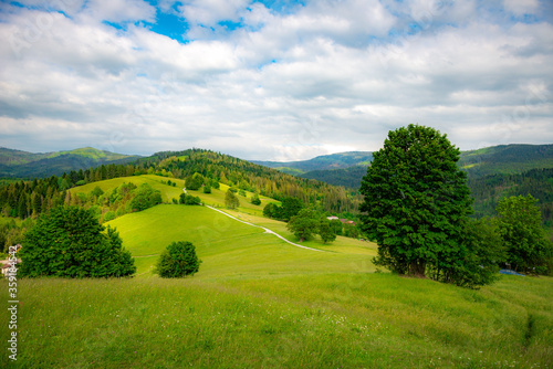 Fototapeta Naklejka Na Ścianę i Meble -  landscape with green grass and blue sky