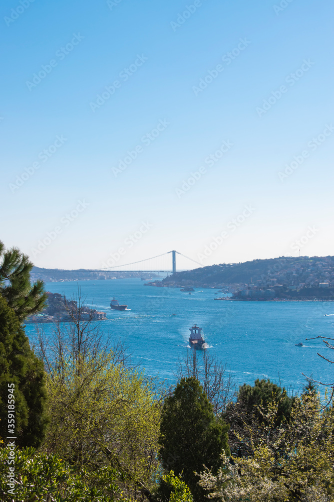 Magnificent Bosphorus view of Istanbul. Coast folds of the Bosphorus. Sunny blue sky, Istanbul view from the garden