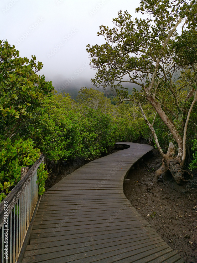 Early morning foggy view of Mangrove boardwalk in the Cowan creek, Bobbin Head, Ku-ring-gai Chase National Park, New South Wales, Australia Early morning foggy view of Mangrove boardwalk in the Cowan creek, Bobbin Head, Ku-ring-gai Chase National Park, New South Wales, Australia