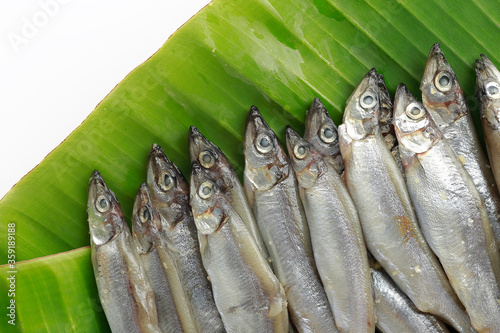 Shishamo fishs in market