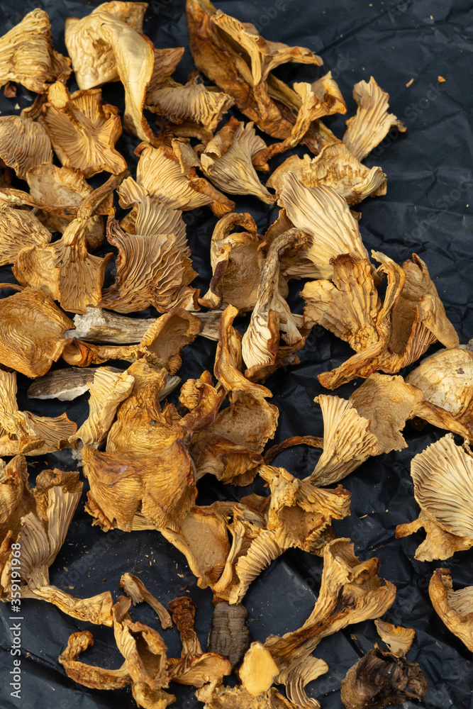 dried mushrooms on black crumpled paper dried mushrooms on black crumpled paper