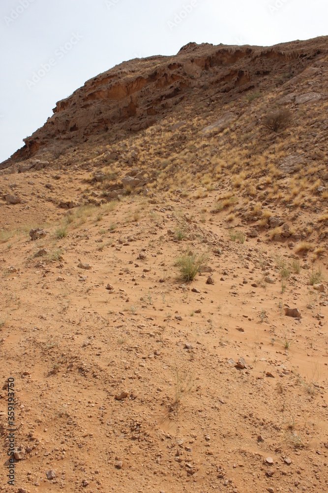 Hot and arid desert sand dunes terrain in Sharjah emirate in the United Arab Emirates. The oil-rich UAE receives less than 4 inches of rainfall a year and relies on water from desalination plants.