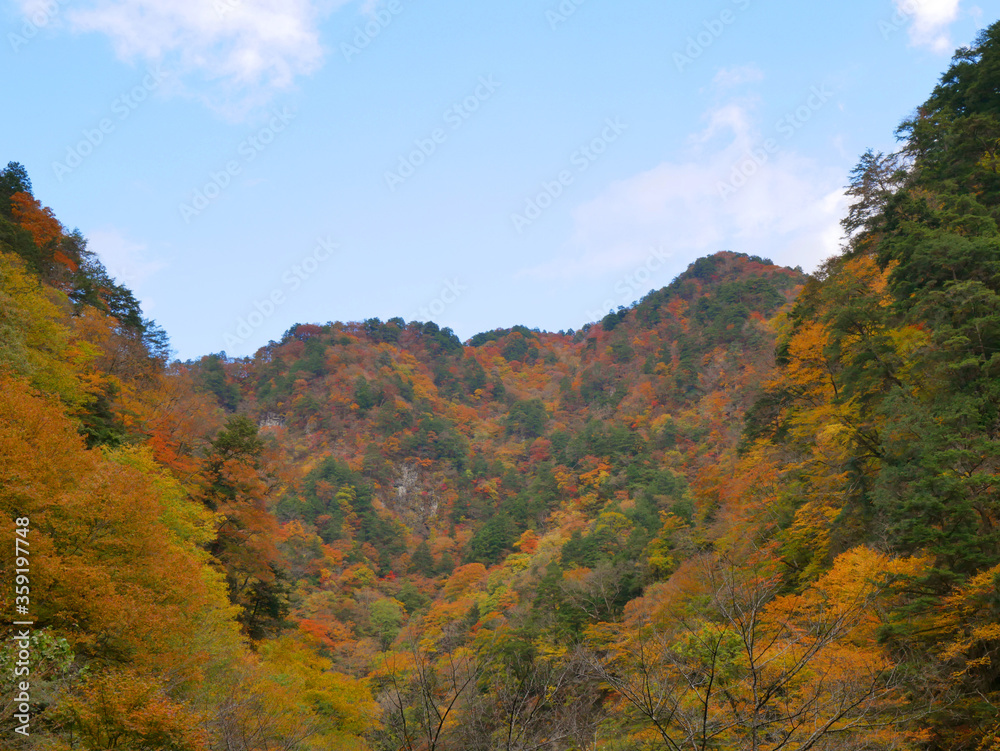 紅葉の中津峡