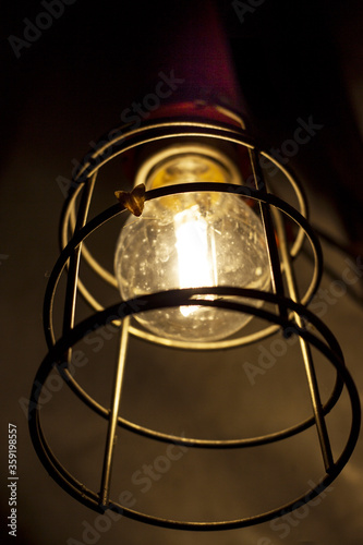  Butterfly on bulb in night time