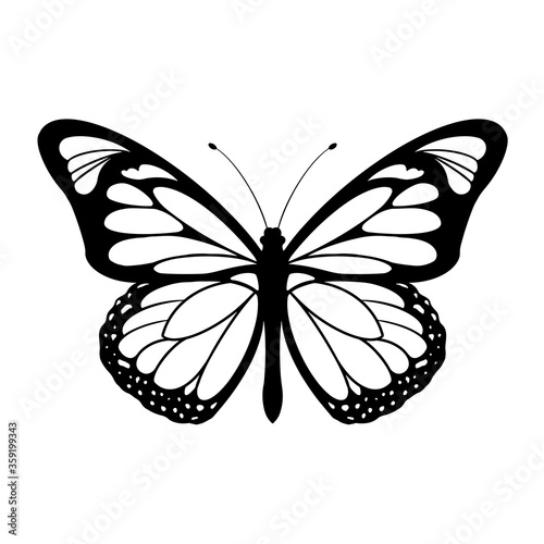 Vector Illustrations of butterfly silhouette icon on white background