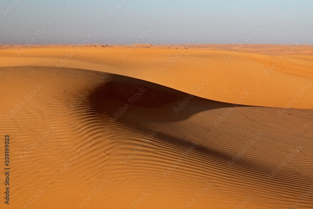 A view of the Wahiba Sands Desert. It has an area of 12,500 square kilometers, located in the northeastern part of the Arabian Peninsula. The sand dunes reach a height of 100 meters. Oman. Asia. - obrazy, fototapety, plakaty 