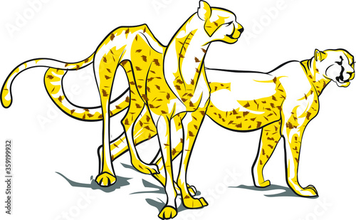 Vector Cheetah line art © Amrit