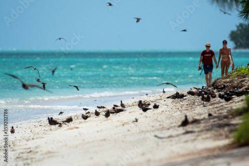  View of Coco Island bird sanctuary in Rodrigues. 