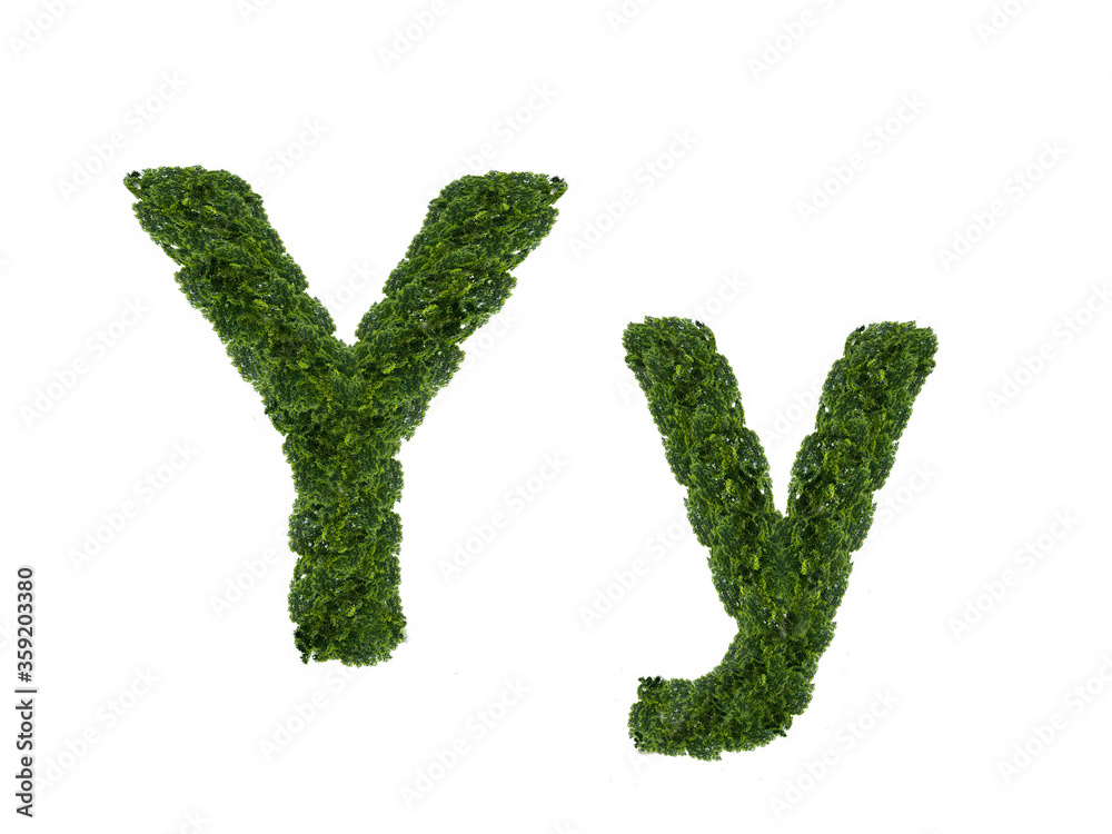 A letter made from the crown of a tree from the English alphabet. Isolated on a white background. Uppercase and lowercase letters Y and y. One of a series of illustrations. A letter made from the crown of a tree from the English alphabet. Isolated on a white background. Uppercase and lowercase letters Y and y. One of a series of illustrations.