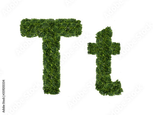 A letter made from the crown of a tree from the English alphabet. Isolated on a white background. Uppercase and lowercase letters T and t. One of a series of illustrations.