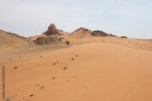 Hot and arid desert sand dunes terrain in Sharjah emirate in the United Arab Emirates. The oil-rich UAE receives less than 4 inches of rainfall a year and relies on water from desalination plants.