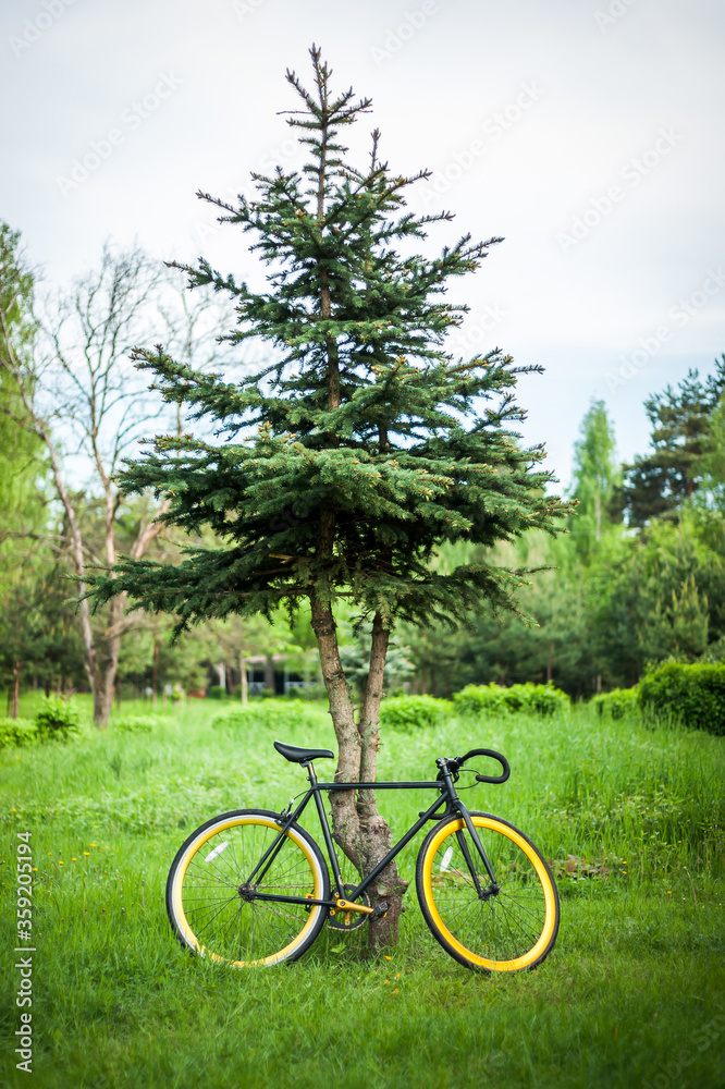 Photo of a Bicycle parked near a tree, close up. In the open air, you can clearly see the nature of the Park and the bike.
