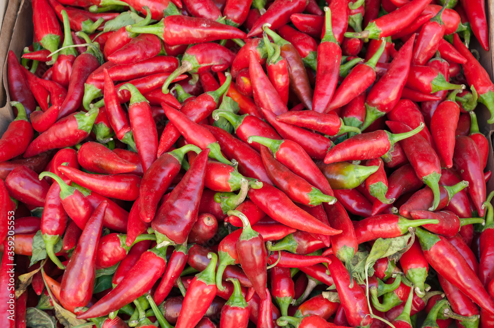 Red chili peppers background, selling at  Bazaar in Bishkek, Kyrgyzstan