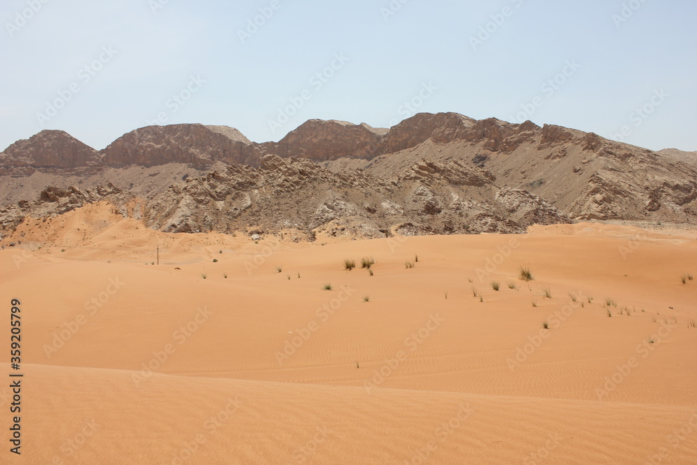 Hot and arid desert sand dunes terrain in Sharjah emirate in the United Arab Emirates. The oil-rich UAE receives less than 4 inches of rainfall a year and relies on water from desalination plants.