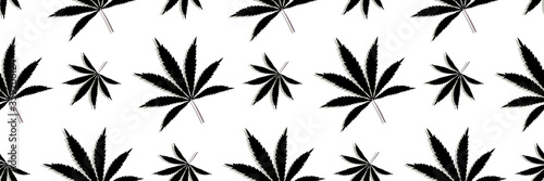 Pattern with Cannabis leaves, marijuana plants seamless vector background design