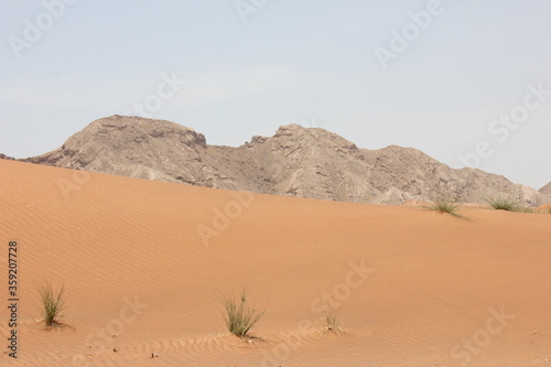 Hot and arid desert sand dunes terrain in Sharjah emirate in the United Arab Emirates. The oil-rich UAE receives less than 4 inches of rainfall a year and relies on water from desalination plants.