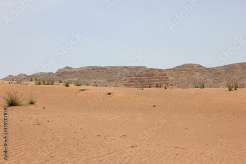 Hot and arid desert sand dunes terrain in Sharjah emirate in the United Arab Emirates. The oil-rich UAE receives less than 4 inches of rainfall a year and relies on water from desalination plants.