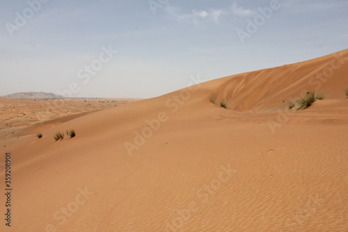 Fototapeta Naklejka Na Ścianę i Meble -  Hot and arid desert sand dunes terrain in Sharjah emirate in the United Arab Emirates. The oil-rich UAE receives less than 4 inches of rainfall a year and relies on water from desalination plants.