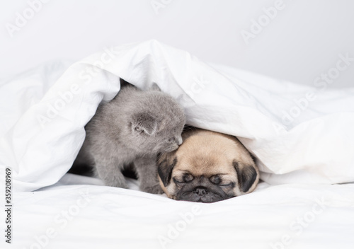 In the bedroom at home under the covers on the bed are a small puppy and kitten, the kitten kisses the puppy on the forehead at night