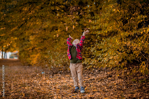Little boy walks in nature in autumn, a preschooler in the autumn Park in yellow leaves © volody10