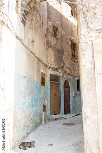 Fototapeta Naklejka Na Ścianę i Meble -  cat sunbathing in Essaouira alley