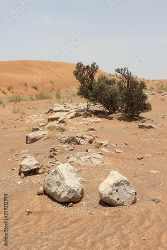 Hot and arid desert sand dunes terrain in Sharjah emirate in the United Arab Emirates. The oil-rich UAE receives less than 4 inches of rainfall a year and relies on water from desalination plants. photo