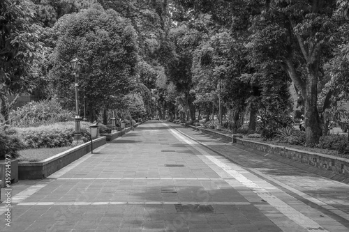 black and white park in city