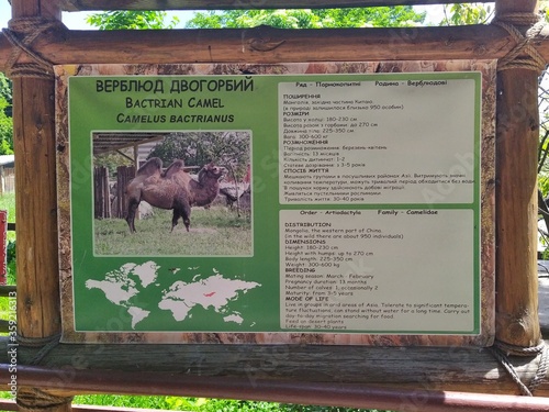 Information of bactrian camel on info board in zoo photo