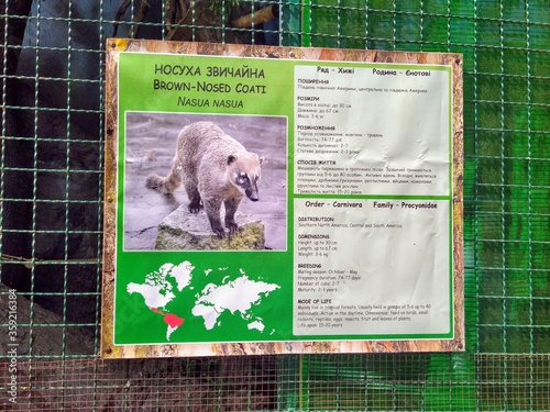 Info of brown-nosed coati on info board in zoo