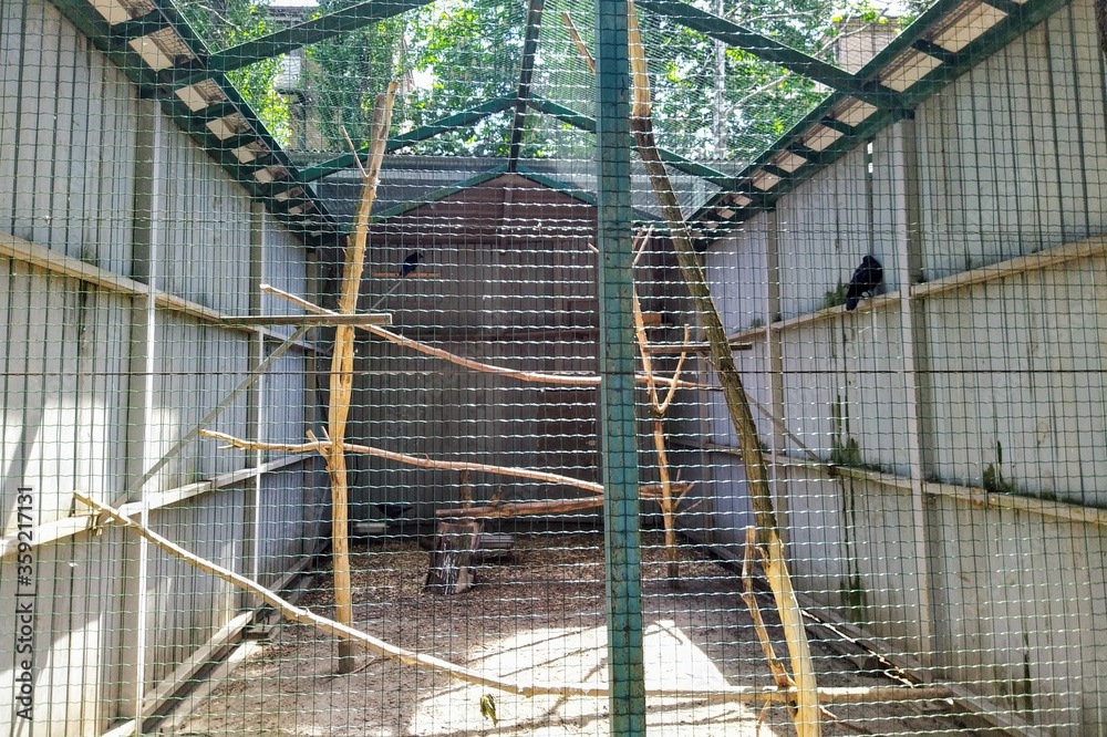 Aviary with raven in city zoo