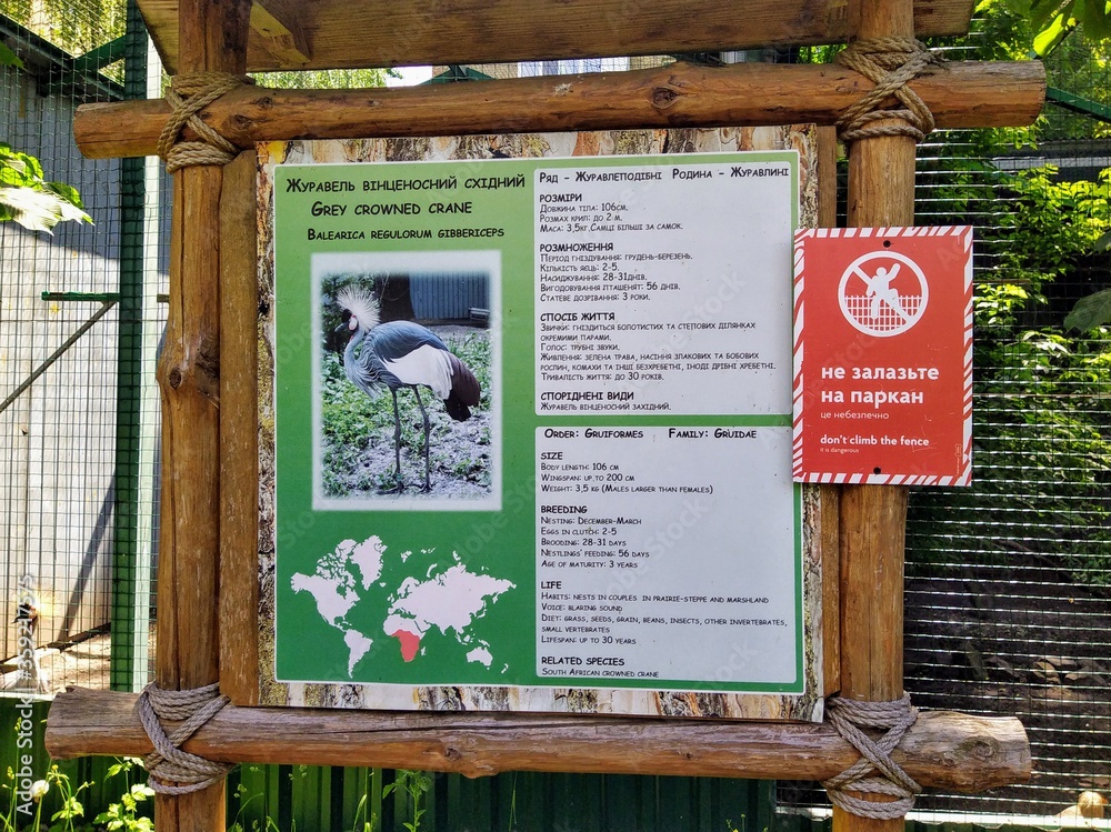Obraz premium Info of grey crowned crane on info board in zoo