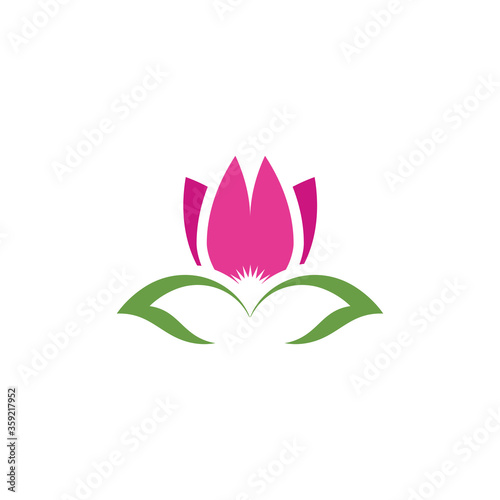 Beauty Vector lotus icon