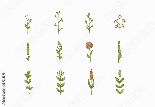 tiny simple botanical illustrations, line artwork, minimal design elements. elegant and delicate plant doodles for branding, wedding invitation, graphic design. spring floral clip art , feminine art