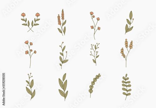 tiny simple botanical illustrations, line artwork, minimal design elements. elegant and delicate plant doodles for branding, wedding invitation, graphic design. spring floral clip art , feminine art