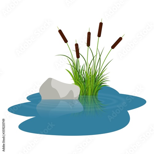 Bush reeds with stone on the water. Reeds stern and grey stone reflected in the lake water with water rounds