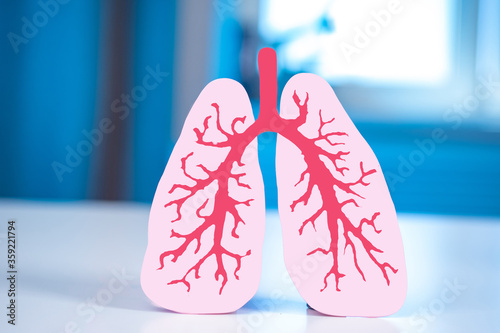 Human lungs on a blue backg...