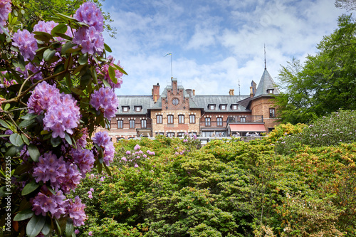 Flowers in Sofiero park in Helsingborg, Sweden.