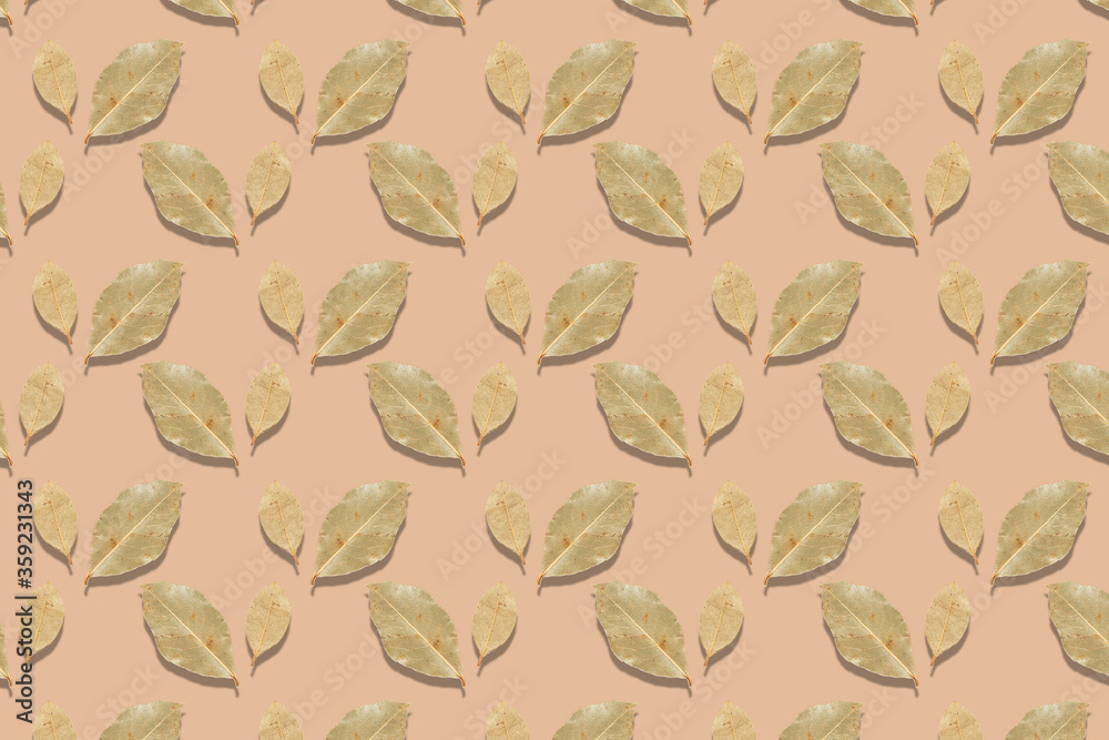 Bay leaf on a light background pattern Bay leaf on a light background pattern