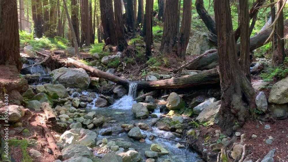 beautiful bubbling stream in forest with sound beautiful bubbling stream in forest with sound