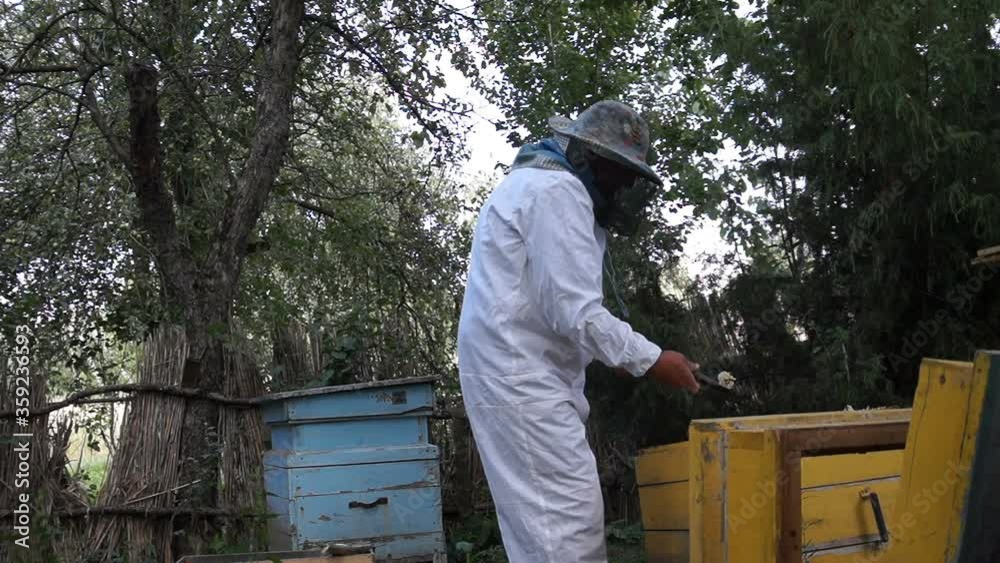 The beekeeper looks after the bees, the honeycomb, in the protective beekeeper's beekeeper, bee's house. Concept: bee hive, pure natural product, useful product, yellow golden honey, swarm of bees. The beekeeper looks after the bees, the honeycomb, in the protective beekeeper's beekeeper, bee's house. Concept: bee hive, pure natural product, useful product, yellow golden honey, swarm of bees.