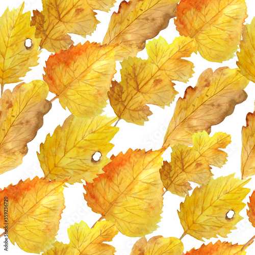 watercolor hand drawn seamless pattern of autumn fall illustration small elements for thanksgiving design template brown nature berries leaves leaf in orange yellow color. Botanical natural realistic