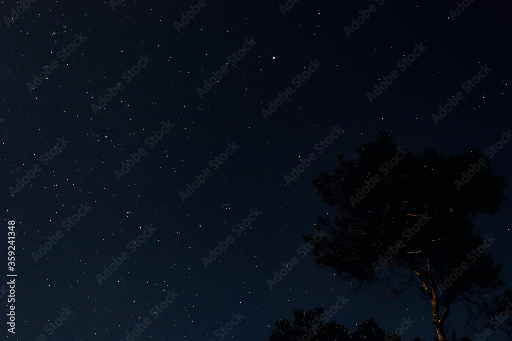 Naklejka premium GWIAZDY