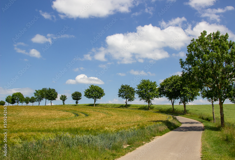 Landstraße in Mecklenburg-Vorpommern