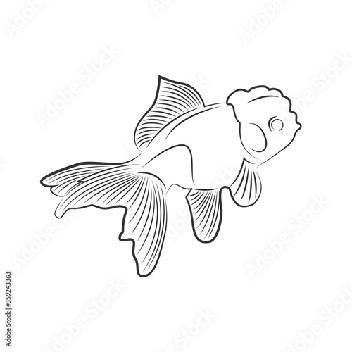 Line Goldfish Logo Vector Design