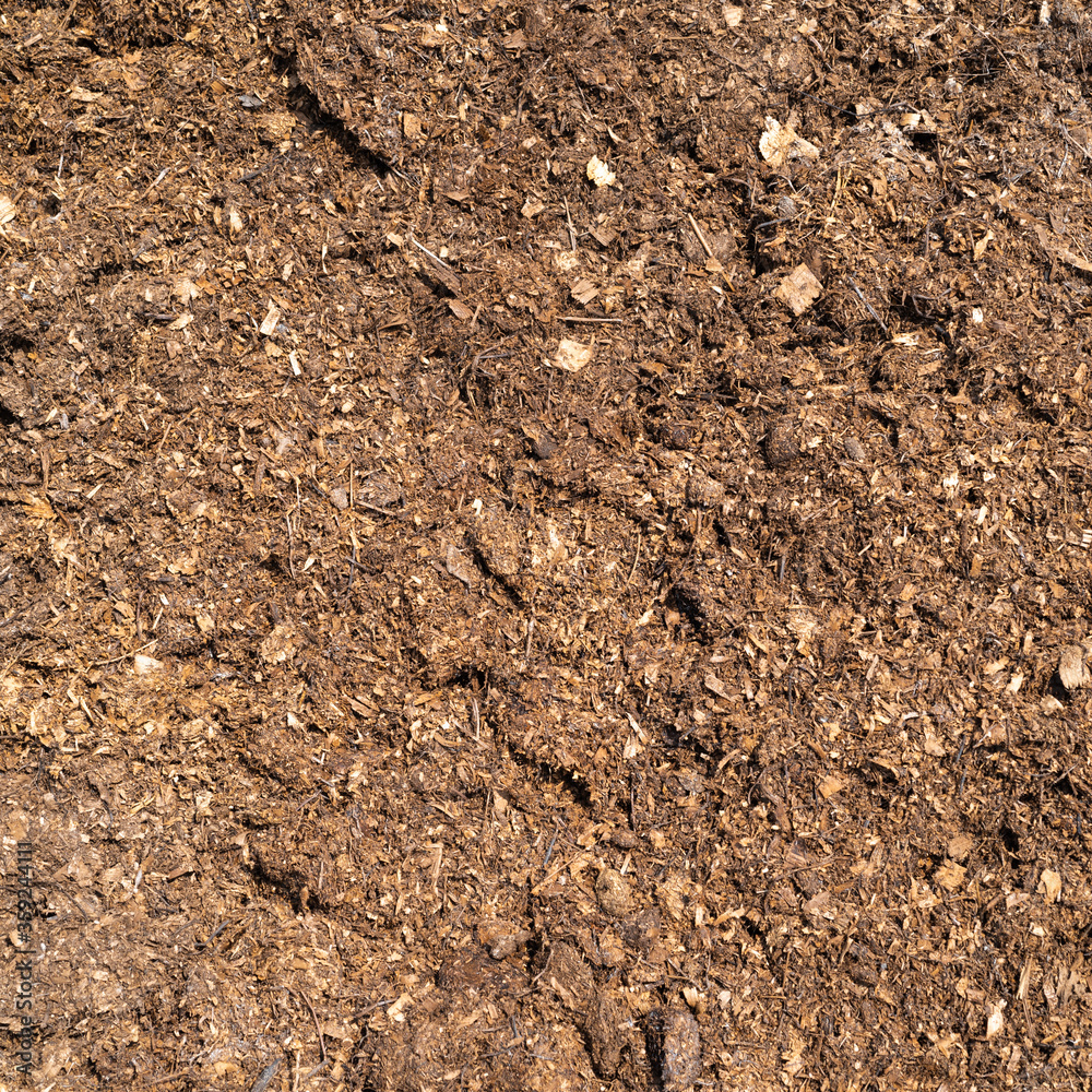 Natural eco-friendly fertilizer for the soil - horse manure.