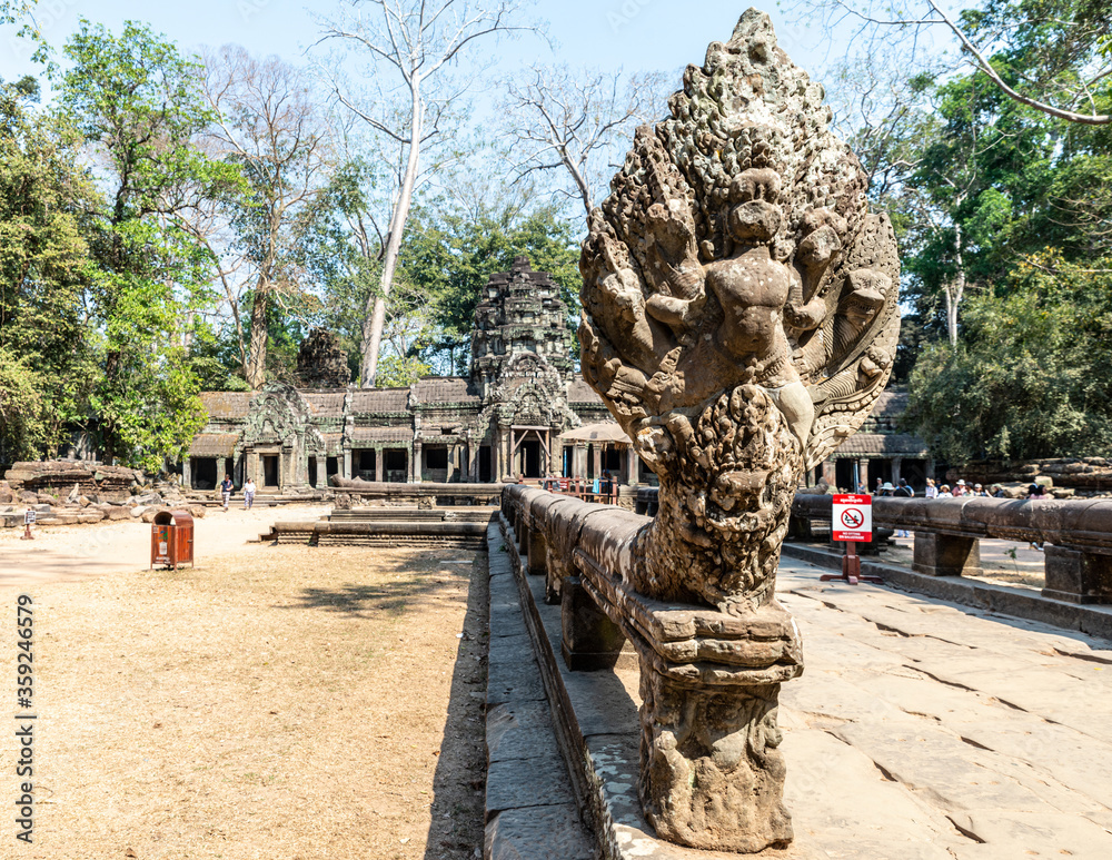 A snake welcomes you at the Ta Prohm temple