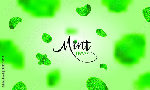 Flying green mint leaves on green background template. Vector set of element for advertising, packaging design of tea products.