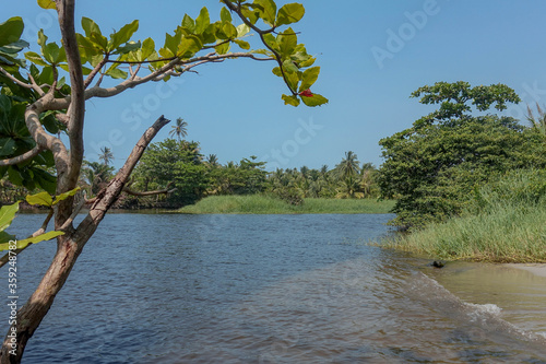 The holy river of the Kogui tribe 
